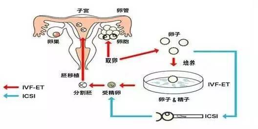 用手过度怎么才能补回来 用手过度会导致什么