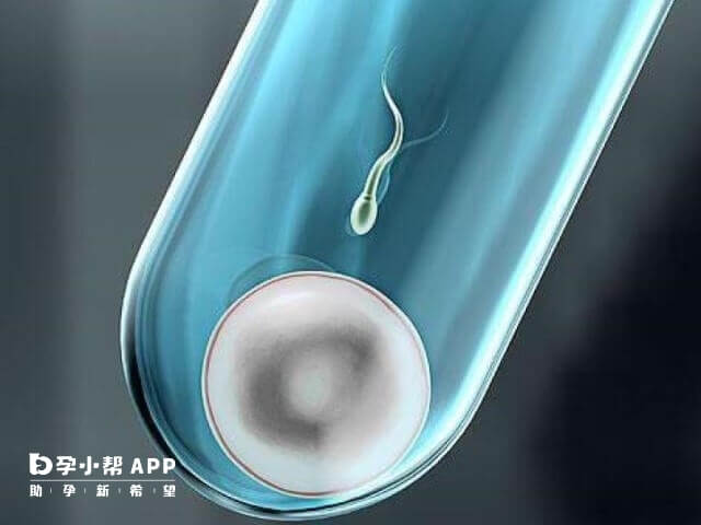 月经有一坨一坨的血块怎么回事腰疼 月经期有血块腰疼是什么原因